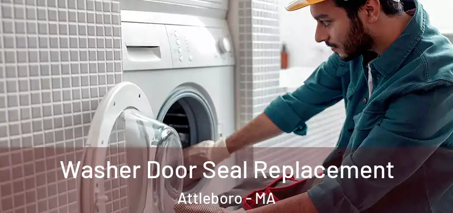  Washer Door Seal Replacement Attleboro - MA